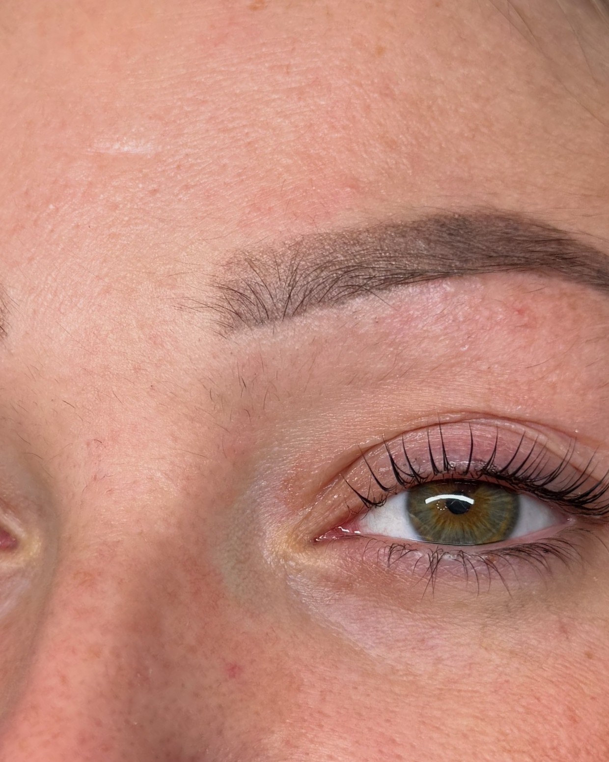 Wenkbrauw en wimpers na een lashlift, van dichtbij